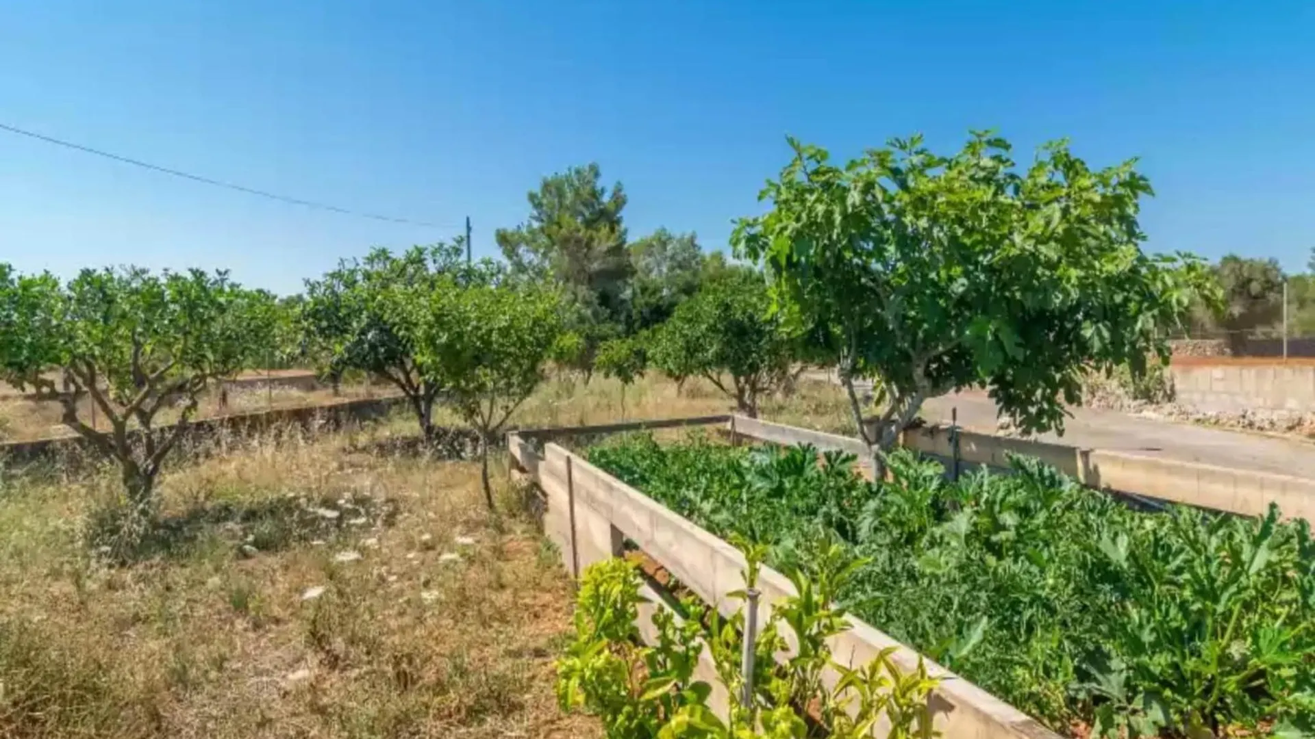 Remarkable Country House In Algaida 0*, Algaida (Mallorca)